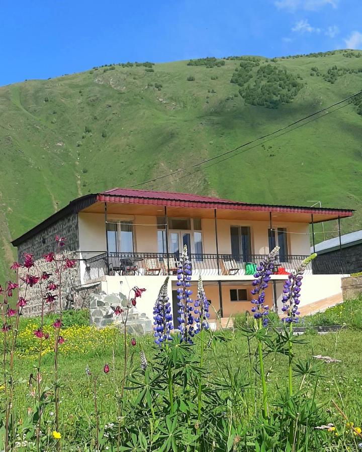Cozy Hotel Kazbegi Esterno foto